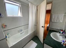 Sam Kiang Mansions (D9), Apartment #451918911